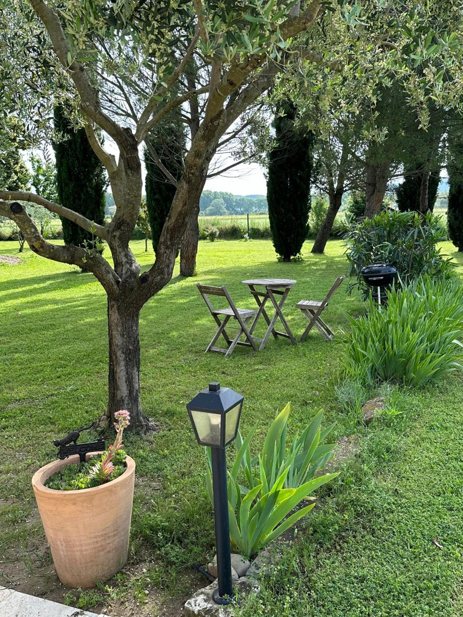Châteauneuf-du-Rhône Maisonnette Independante Au Calme Dans Un Grand Jardin מראה חיצוני תמונה