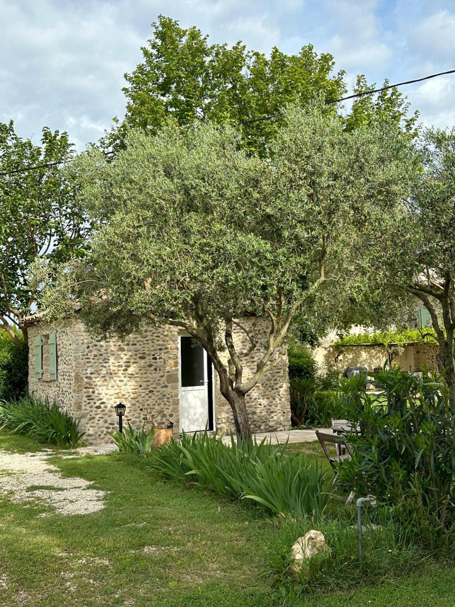 Châteauneuf-du-Rhône Maisonnette Independante Au Calme Dans Un Grand Jardin מראה חיצוני תמונה