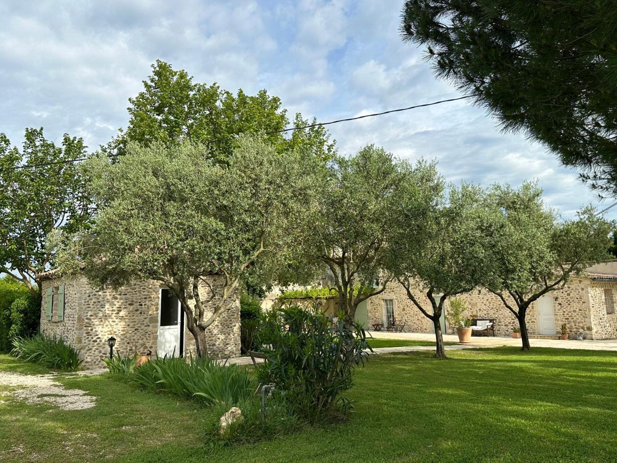 Châteauneuf-du-Rhône Maisonnette Independante Au Calme Dans Un Grand Jardin מראה חיצוני תמונה