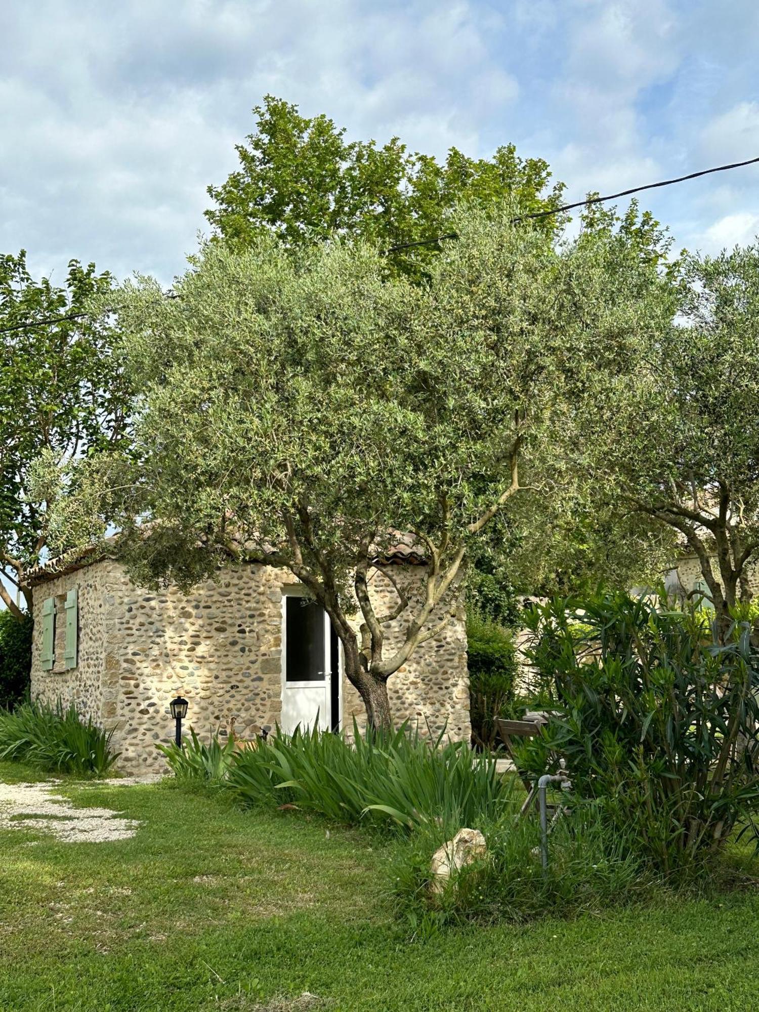 Châteauneuf-du-Rhône Maisonnette Independante Au Calme Dans Un Grand Jardin מראה חיצוני תמונה